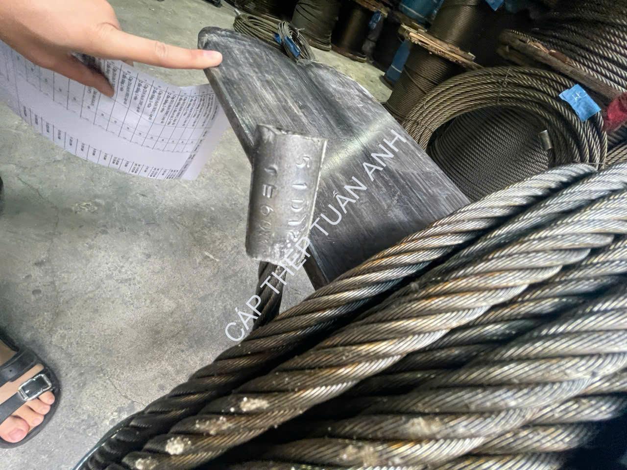 Dây cáp thép cẩu trục cáp thép cẩu trục kẹp chì 2 đầu thẳng